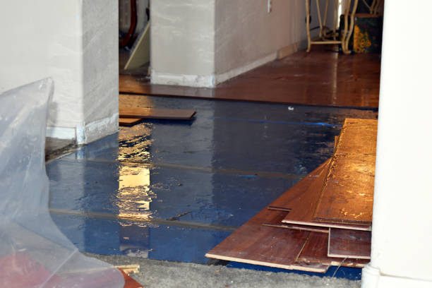 Professional Basement Flood Cleanup technician working in West Elkton, OH